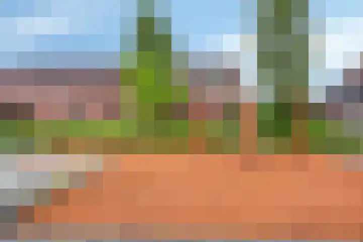 Terras 16 Almelo thumbnail 31
