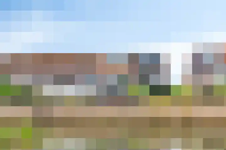 Terras 16 Almelo thumbnail 32