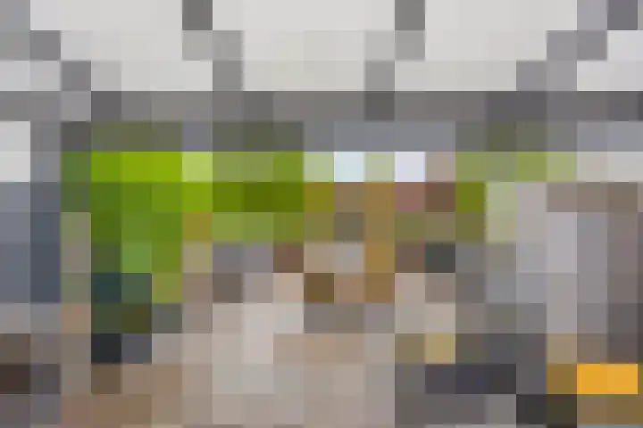 Terras 16 Almelo thumbnail 5