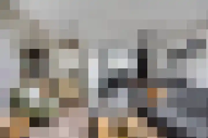 Terras 16 Almelo thumbnail 6