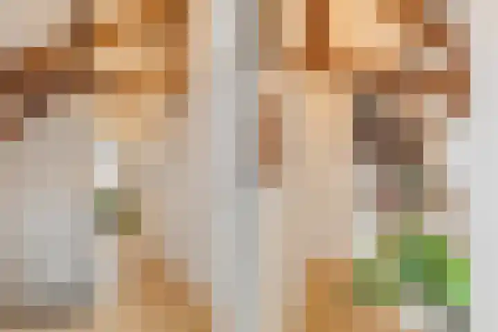 Terras 16 Almelo thumbnail 7
