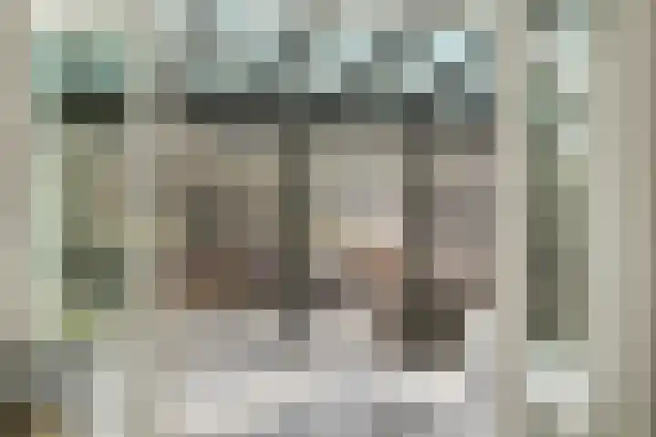 Terras 24 b Almelo thumbnail 12