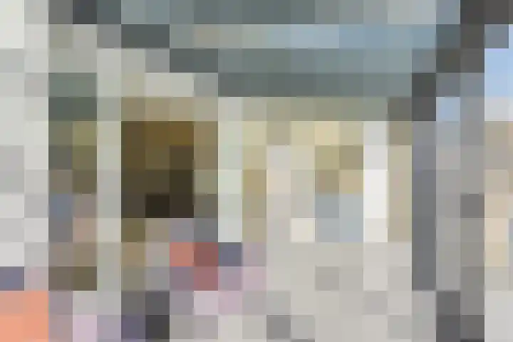 Terras 24 b Almelo thumbnail 13