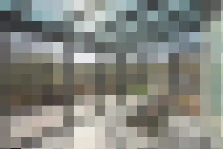 Terras 24 b Almelo thumbnail 14