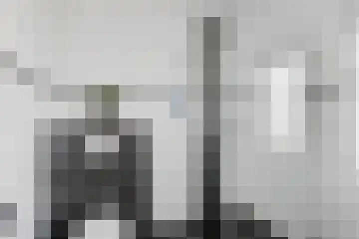 Terras 24 b Almelo thumbnail 28