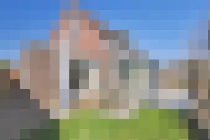 Terras 24 b Almelo thumbnail 32