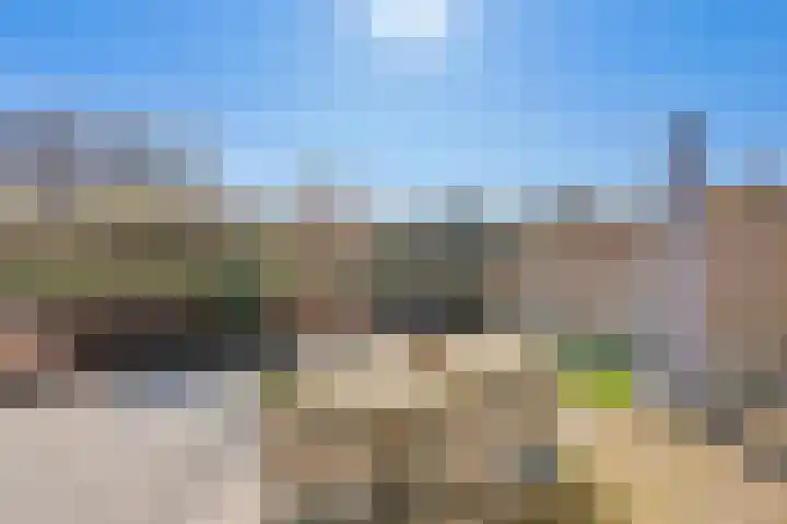 Terras 24 b Almelo thumbnail 33