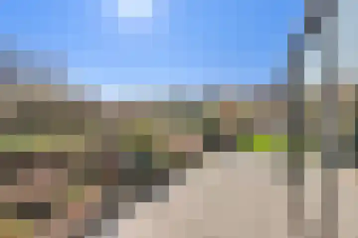 Terras 24 b Almelo thumbnail 36
