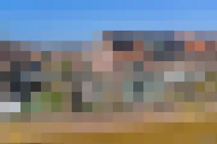 Terras 24 b Almelo thumbnail 43