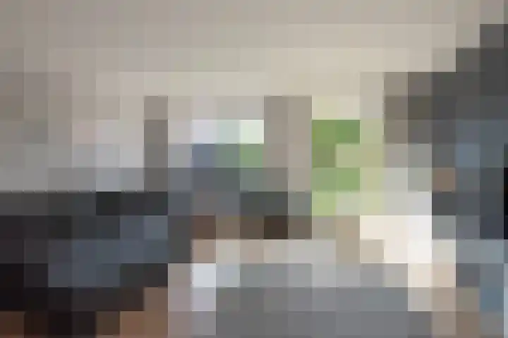 Terras van Sion 13 Rijswijk thumbnail 16