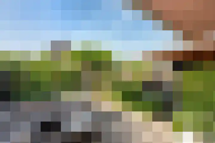 Terras van Sion 13 Rijswijk thumbnail 18
