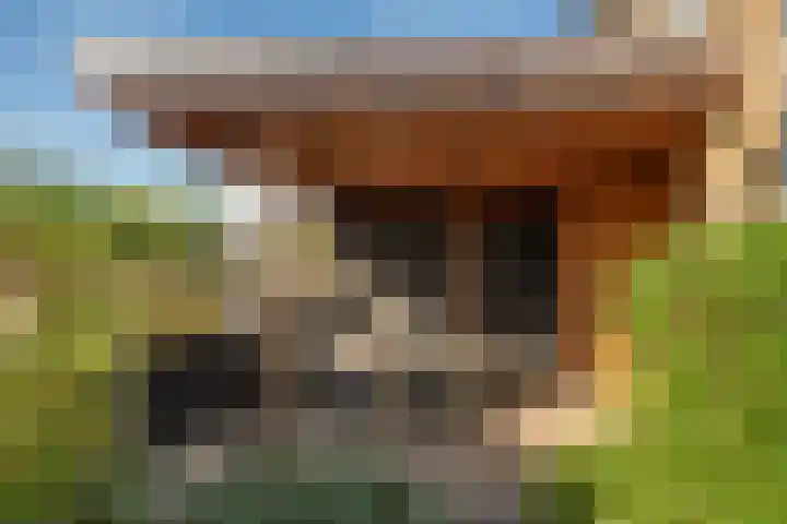 Terras van Sion 13 Rijswijk thumbnail 19