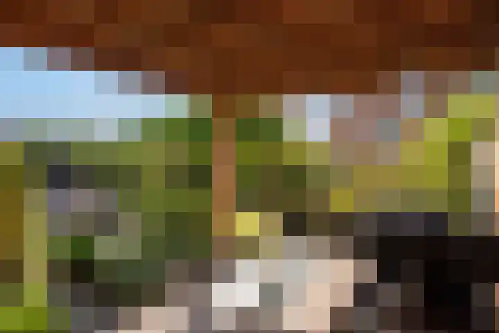 Terras van Sion 13 Rijswijk thumbnail 20