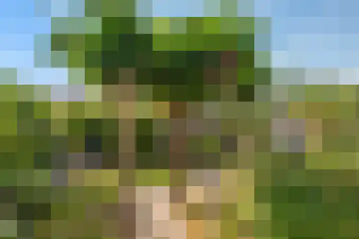 Terras van Sion 13 Rijswijk thumbnail 22
