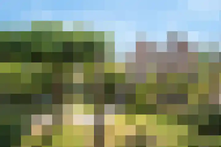 Terras van Sion 13 Rijswijk thumbnail 23