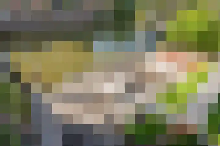 Terras van Sion 13 Rijswijk thumbnail 24