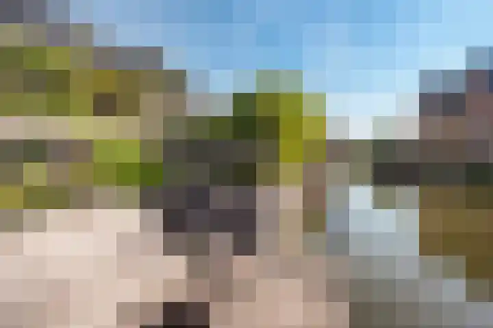 Terras van Sion 13 Rijswijk thumbnail 25