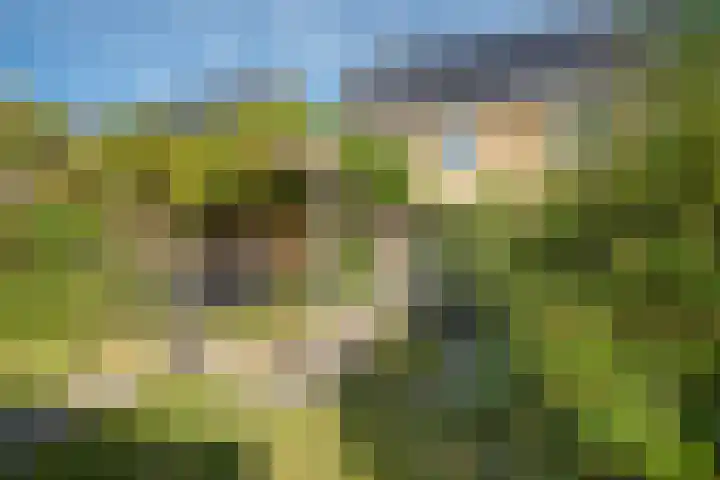 Terras van Sion 13 Rijswijk thumbnail 27