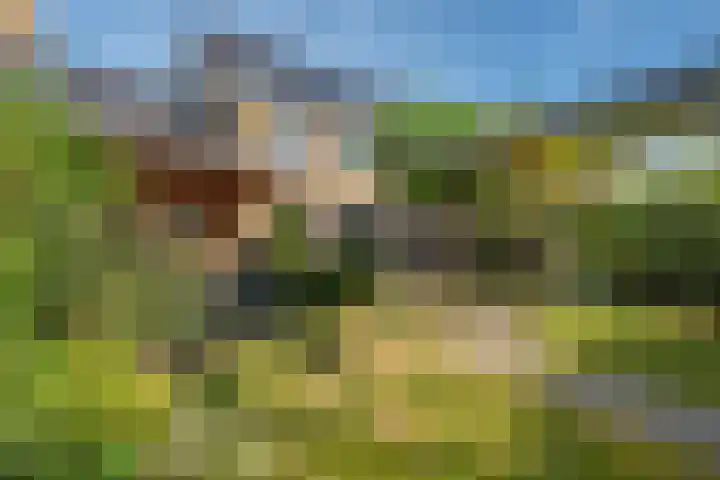 Terras van Sion 13 Rijswijk thumbnail 28