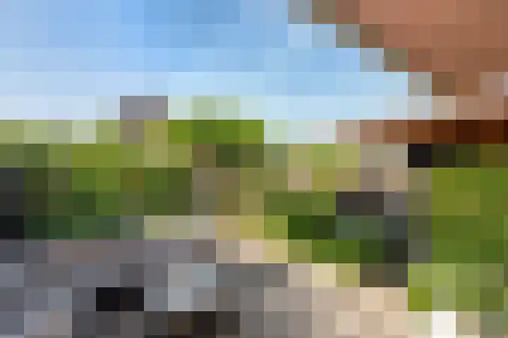 Terras van Sion 13 Rijswijk thumbnail 4