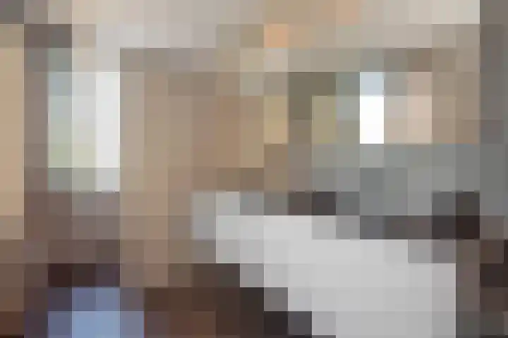 Terras van Sion 13 Rijswijk thumbnail 6