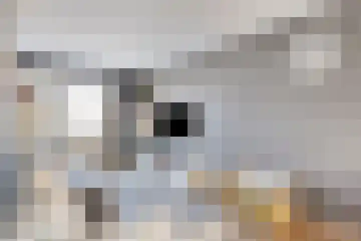 Terrashei 36 Best thumbnail 19