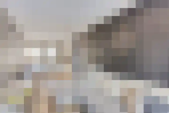 Terrashei 36 Best thumbnail 21