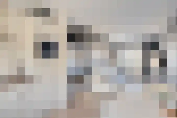 Terrashei 36 Best thumbnail 25