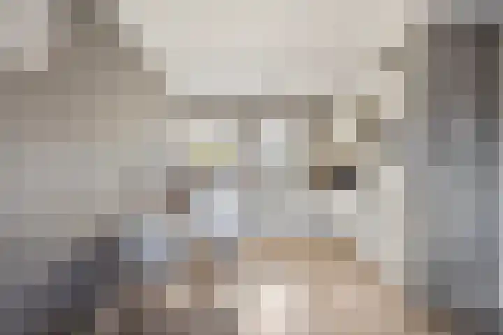 Terrashei 36 Best thumbnail 26