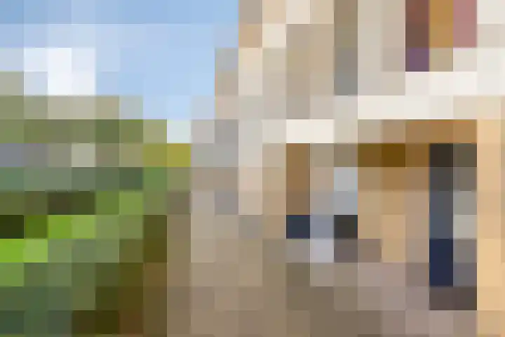 Terrashei 36 Best thumbnail 4