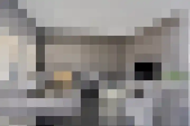 Terrashei 46 Best thumbnail 12