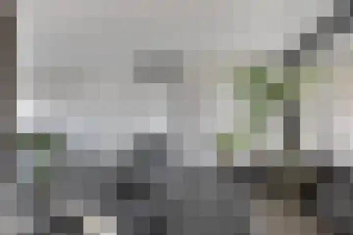 Terrashei 46 Best thumbnail 13