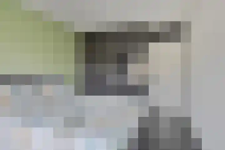 Terrashei 46 Best thumbnail 16