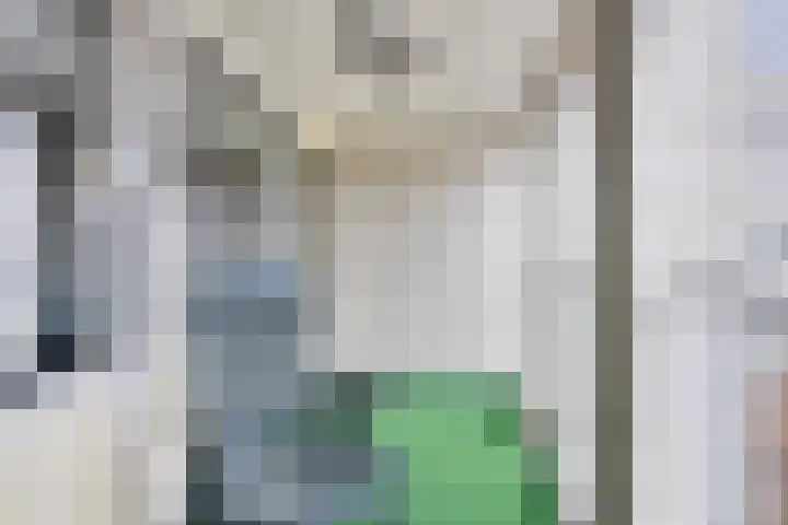 Terrashei 46 Best thumbnail 20