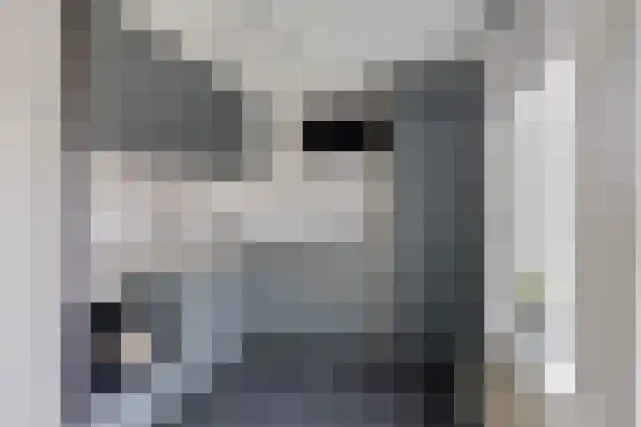 Terrashei 46 Best thumbnail 4