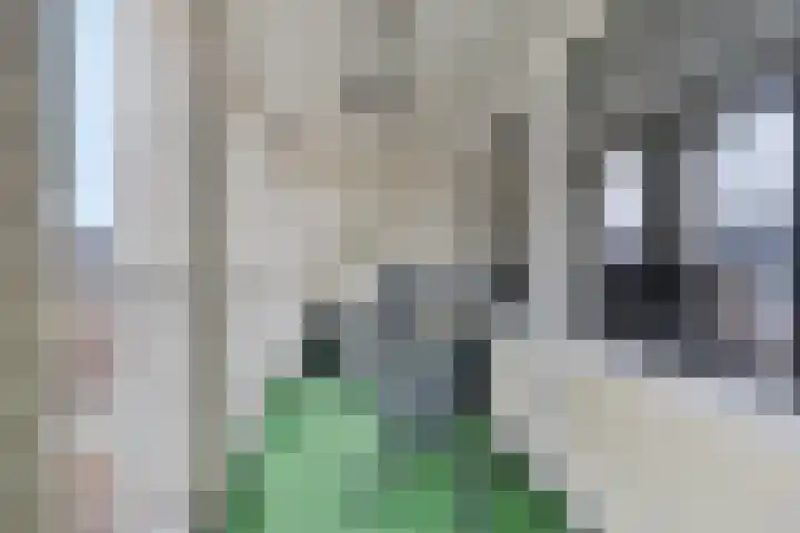 Terrashei 46 Best thumbnail 5