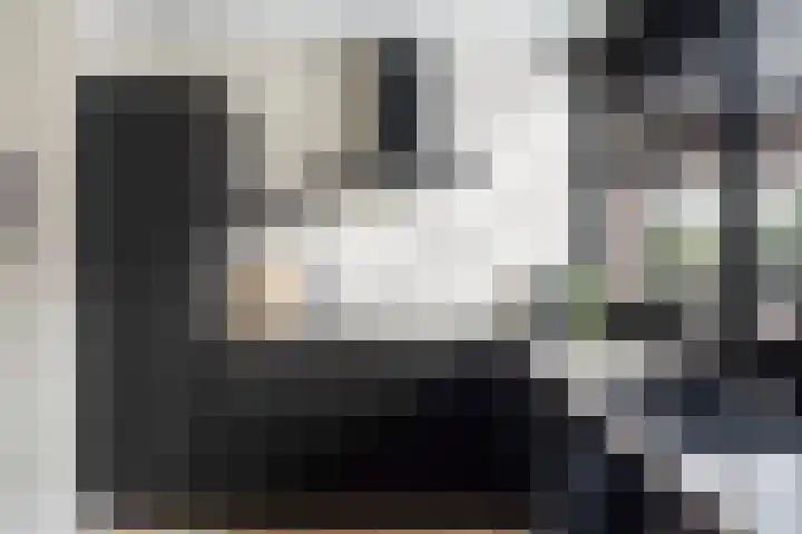 Terrastuinlaan 5 Vleuten thumbnail 13