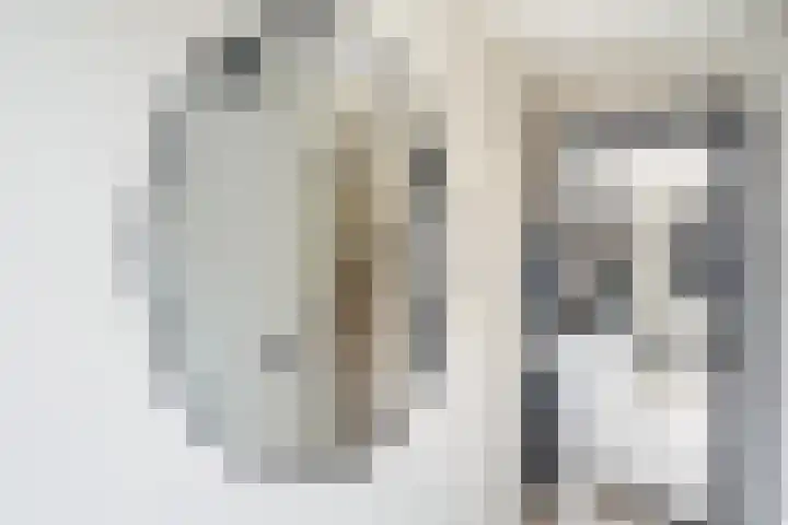 Terrastuinlaan 5 Vleuten thumbnail 17