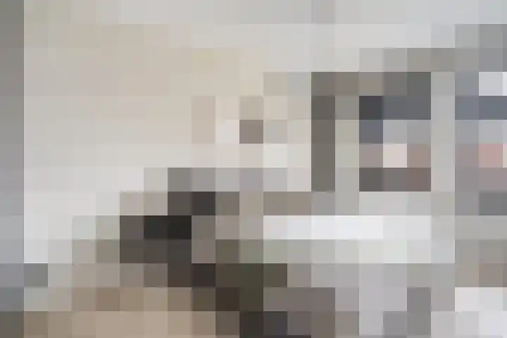 Terrastuinlaan 5 Vleuten thumbnail 19