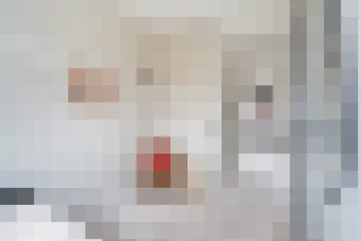 Terrastuinlaan 5 Vleuten thumbnail 25