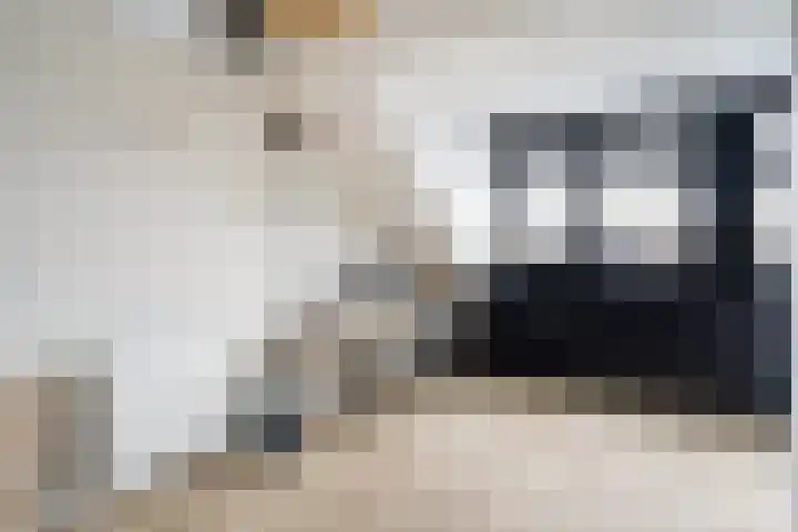 Terrastuinlaan 5 Vleuten thumbnail 32