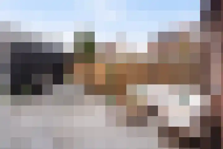 Terrastuinlaan 5 Vleuten thumbnail 36