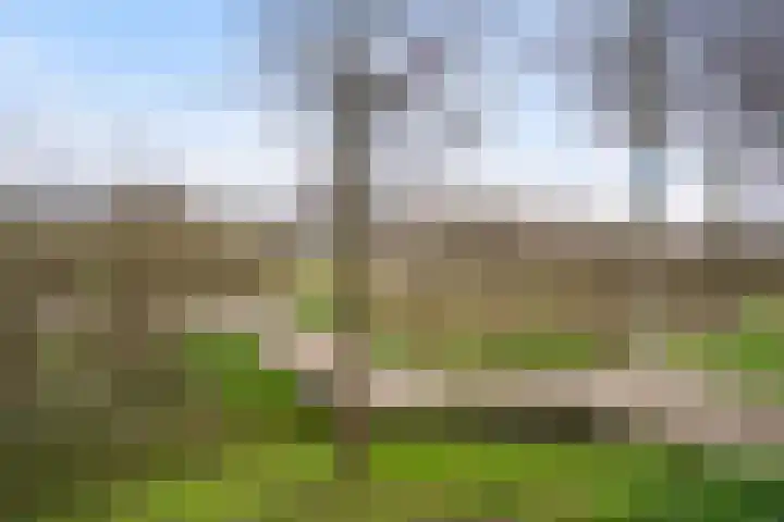 Terrastuinlaan 5 Vleuten thumbnail 44