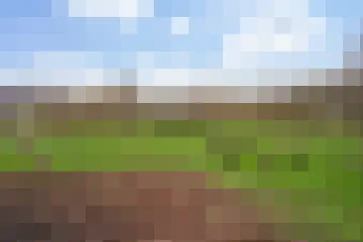 Terrastuinlaan 5 Vleuten thumbnail 46