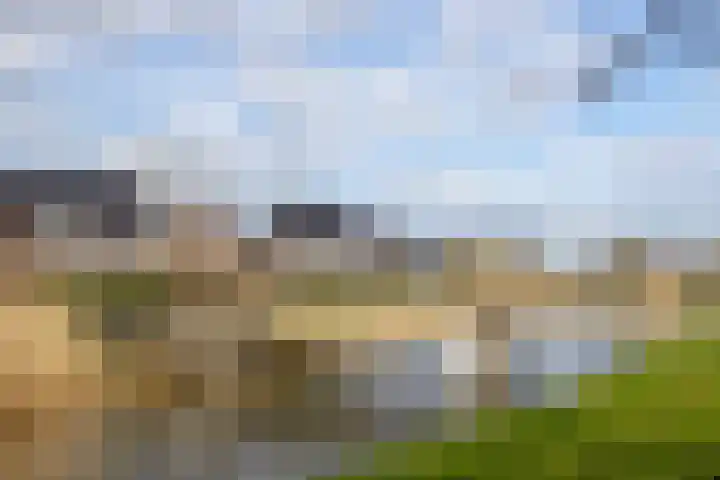 Terrastuinlaan 5 Vleuten thumbnail 51