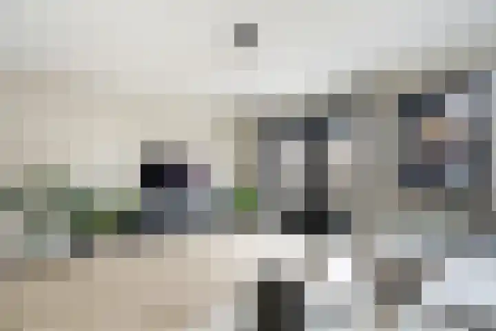 Terrastuinlaan 5 Vleuten thumbnail 7