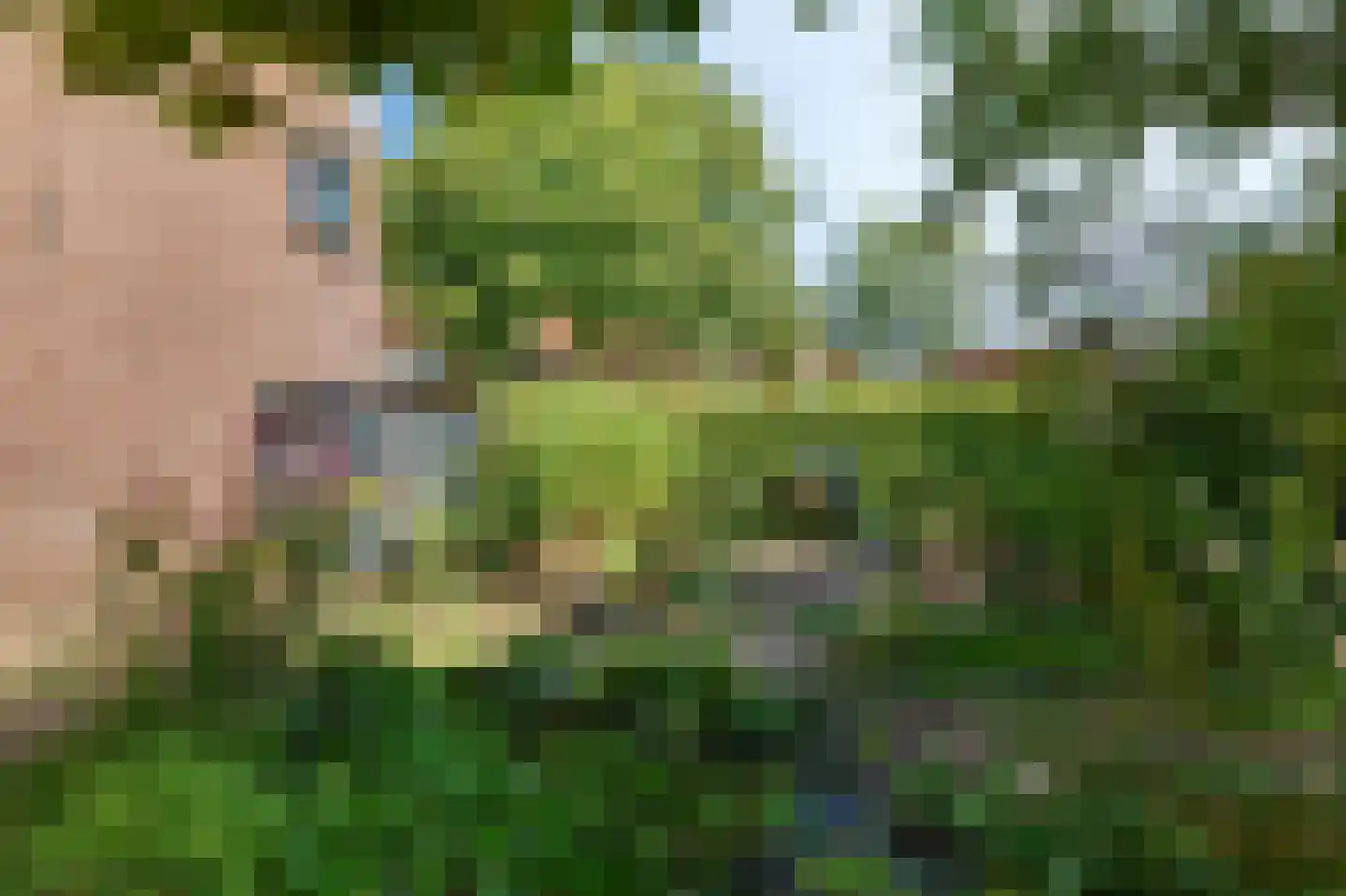 Terrasweg 11 Santpoort-Noord thumbnail 24