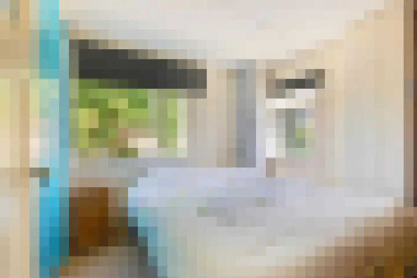 Terrasweg 11 Santpoort-Noord thumbnail 26