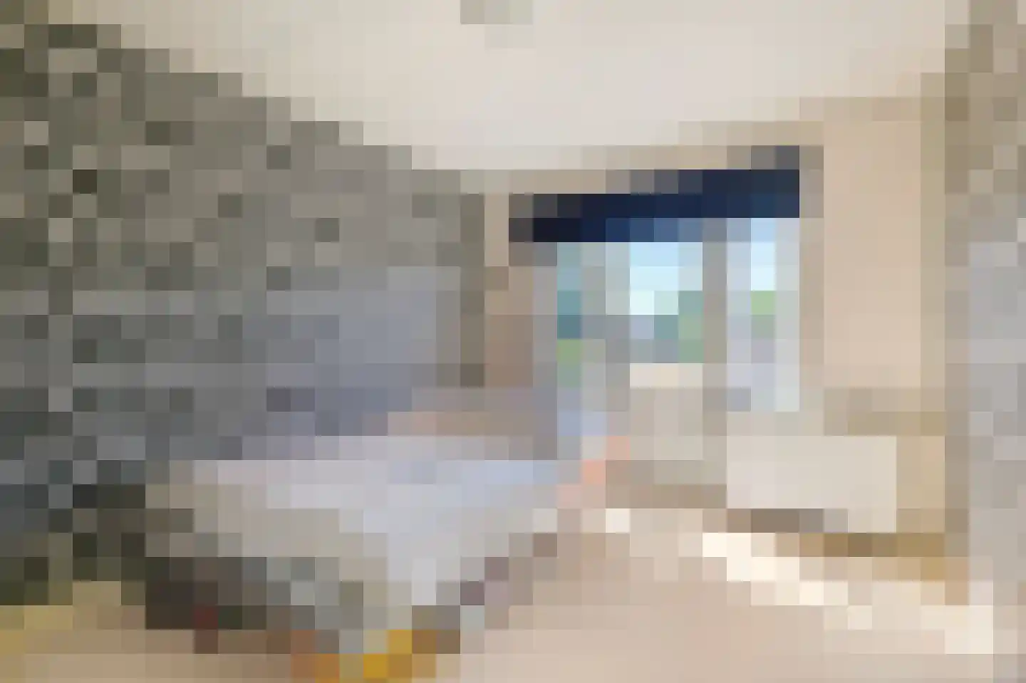 Terrasweg 11 Santpoort-Noord thumbnail 29