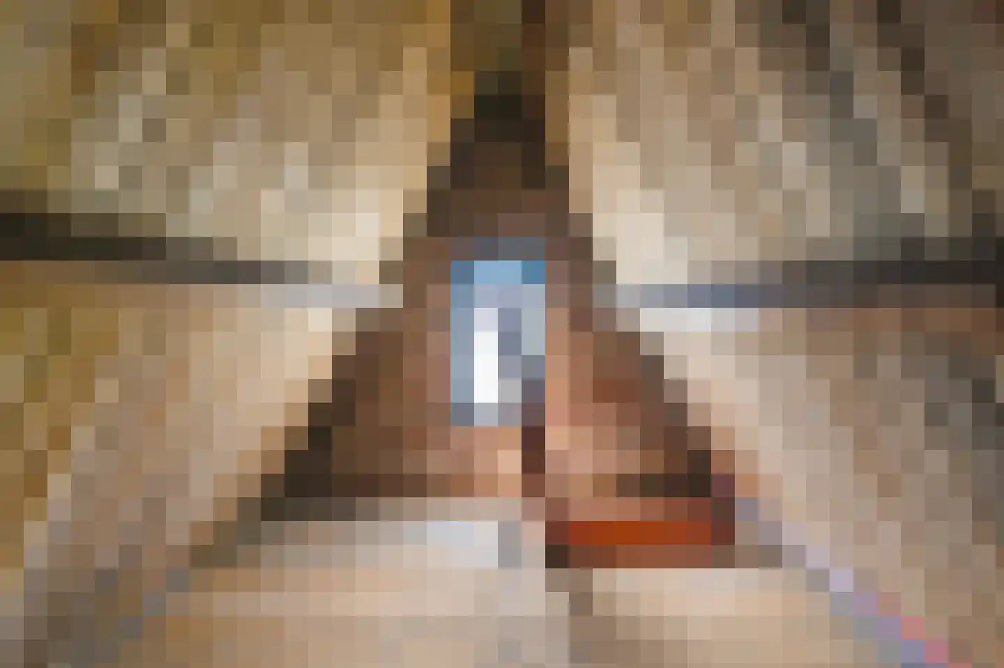 Terrasweg 11 Santpoort-Noord thumbnail 33